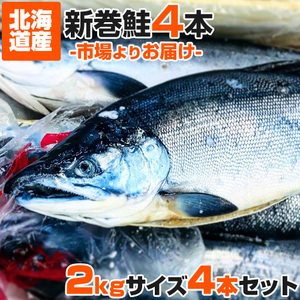 計8kg 鮭 姿 2kg×4尾 送料0円 新巻鮭 塩漬け 塩鮭 塩引き鮭 中辛 新巻 秋鮭 しゃけ サケ さけ 母の日 父の日 お彼岸