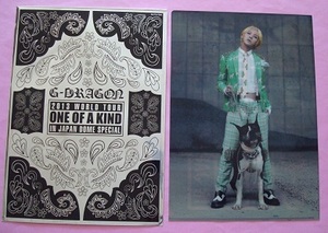 G-DRAGON 2013 WORLD TOUR ～ONE OF A KIND～ IN JAPAN DOME SPECIAL ジヨン ソロコン 公式グッズ　クリアファイル　G