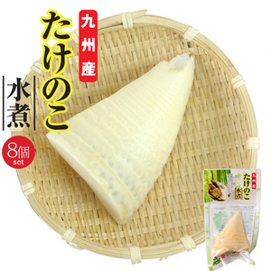 たけのこ 1切×8袋【縦切り】【九州産タケノコ水煮】香り高くシャキシャキ食感の国産筍。【山菜水煮 竹の子 山菜】【メール便対応】