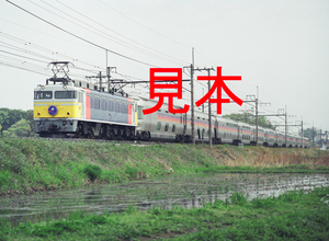 鉄道写真645ネガデータ、125313400001、EF81-92＋カシオペア、JR東北本線、蓮田～東大宮、2001.04.26、（4360×3193）
