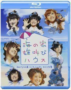 [Blu-Ray]Berryz工房 コンサートツアー 2010初夏～海の家 雄叫びハウス～ Berryz工房