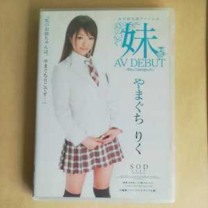 やまぐちりく　妹　DVD SOD