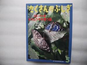 月刊たくさんのふしぎ　昆虫少年の夢　オオムラサキ舞う森　　草山万兎・文　足立隆昭・写真　ふしぎ新聞つき　福音館書店