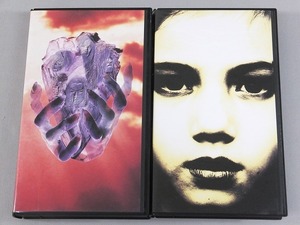 LUNA SEA ルナシー VHS ビデオテープ IMAGE or REAL ステッカー付 + Sin After Sin まとめて 2個セット 送料 全国一律 520円 河村隆一 真矢