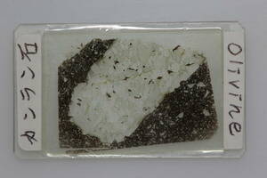 偏光顕微鏡用プレパラート　岩石薄片　橄欖石　1枚