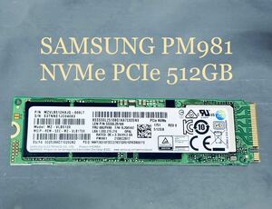 SAMSUNG PM981 512GB MZ-VLB510 NVMe PCIe M.2 2280 SSD★使用時間:5501時間,電源投入:254回