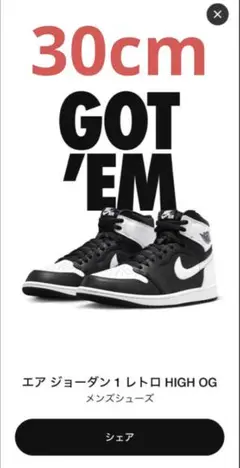 Nike AirJordan1 High OG BlackWhite 30cm