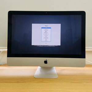 iMac 　(21.5-inch, Late 2013) 　i5 　8GB　 256GB　i17819160サイズ発送　