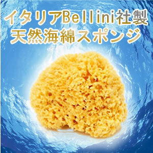 【即納】ベリーニ社 天然海綿ハニコム種(約14～16cm)　天然海綿スポンジ 地中海 最高級 ボディスポンジ 敏感肌 赤ちゃん