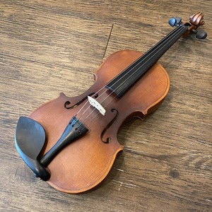 Hallstatt V-12 String Instrument ハルシュタット バイオリン -GrunSound-x144-