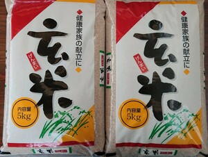 茨城県産コシヒカリ玄米10キロ（5キロ×2袋）