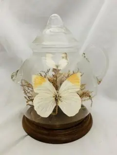 台湾製　ガラスポット　インテリア　飾物　ドライフラワー造花　蝶々