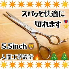 スパッと快適に切れる理美容師ヘアメイクプロ用カットシザーハサミ✨犬トリミングも可