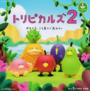 【未開封コンプリート】パンダの穴 トリピカルズ2 全5種セット　ガチャ