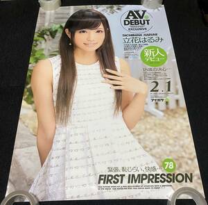 A270/ 立花はるみ ポスター / FIRST IMPRESSION 78 / A1サイズ