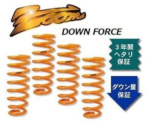 ズーム ダウンフォース ローダウンサスペンション ZSB041025SDF 入数：1台分 スバル レガシィツーリングワゴン BP5 EJ20 4WD ターボ 2000cc