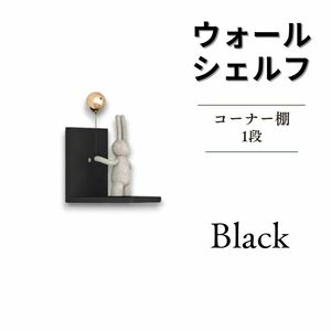 ウォールラック 飾り棚 ウォールシェルフ 1x1 ブラック