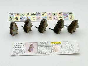 〓FURUTA フルタ〓チョコエッグ 日本の動物 第4弾 ハタネズミ 大量処分5点まとめ売り @食玩 フィギュア 海洋堂