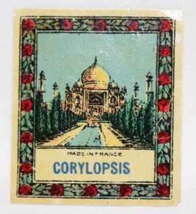 フランスアンティーク香水ラベル　CORYLOPSIS １９１０年