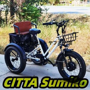 大好評☆お見逃しなく！ 20インチ電動自転車 厚手のタイヤ リチウム電池 三輪車 48V 750Wワイドペダル 三輪車 D180