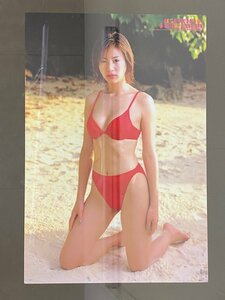 井川遥 クリアポスター 6枚 ヤングマガジン ヤンマガ 水着 ビキニ F3-06