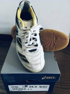 DESTAQUE 2K デスタッキ2K 25.0cm asics