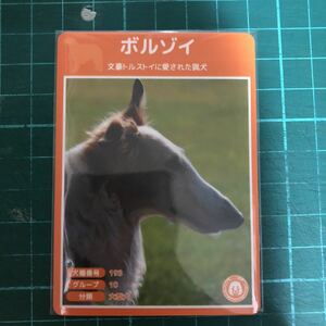 【犬種図鑑カード】 No.035 ボルゾイ