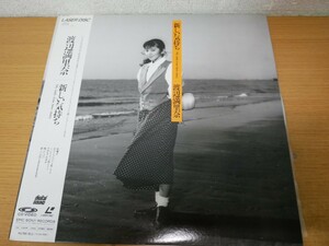 LDa-1646＜帯付＞渡辺満里奈 / 新しい気持ち