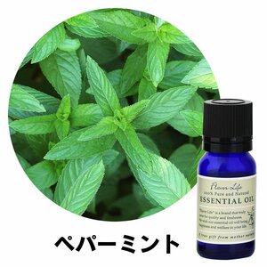 フレーバーライフ エッセンシャルオイル ペパーミント 10ml 精油 アロマ アロマオイル リラックス 自律神経 ストレス 整える 効果