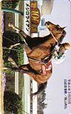 テレカ テレホンカード Gallop100名馬 メジロライアン UZG01-0174