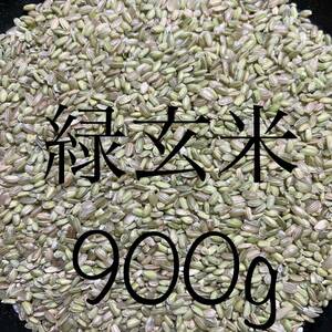 令和5年産　希少な緑玄米（うるち米）900g
