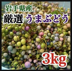 岩手県産 3kg 馬ぶどう うまぶどう　冷凍クール便　薬膳　うまぶどう酒　天然素材