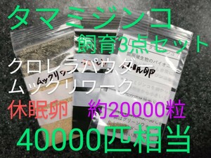 送金無料！タマミジンコ飼育3点セット　クロレラパウダー　ムックリワーク　乾燥卵　約40000匹相当付　取説付　めだか針子　グッピー金魚餌