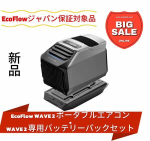 EcoFlow WAVE 2 エコフロー　専用バッテリーパック 本体とバッテリー