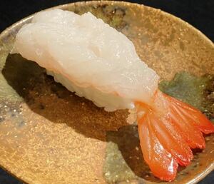 食品サンプル　握り寿司　ボタン海老