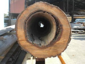 乾燥材　黒松　原木　穴あき貫通　日本産　ベンチ　囲炉裏　テーブル　太木　モニュメント　彫刻　5m