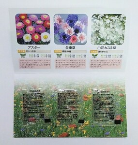 【送料無料！】フラワーメール 3品種 花の種子付き