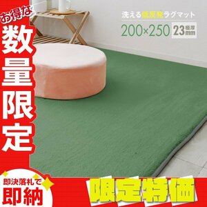 【限定セール】ラグ カーペット ラグマット Lサイズ 200x250cm 極厚23mm 3.2畳 床暖房 抗菌 防ダニ 低反発 絨毯 リビング マット 緑