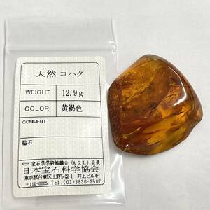 ★天然コハク ルース 重量12.9g★ソーティング付 琥珀 ジュエリー　Y45