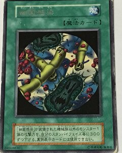 遊戯王 ジャンク 初期 レア 魔法 1枚 細菌感染