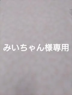 みいちゃん様専用