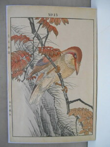 景年花鳥画譜 冬巻 No.15 拾五 ハゼ ヤマセミ 今尾景年 彩色刷 木版画 山田芸艸堂 明治25年 1892年 台紙貼１枚 ビニール袋入 版画