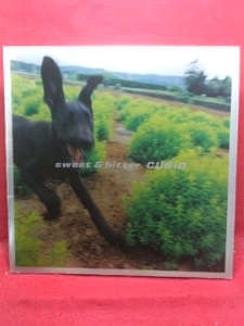 ○CURIO(キュリオ)sweet＆bitter CURIO LIVE TOUR 1998 パンフ