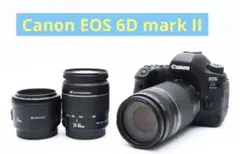 Canon EOS 6D mark Il☆標準&望遠&単焦点トリプルレンズセット