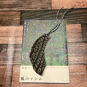 しおり 栞 アンテロープ 本革 レザー 革 ハンドメイド (文庫本 単行本 新書 ハヤカワ文庫) 9