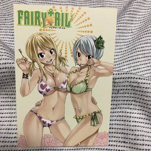 FAIRY TAIL フェアリーテイル ポストカード イラストカード ルーシィ・ハートフィリア＆ユキノ・アグリア