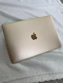 APPLE MacBook (Retina, 12-inch, 2017)