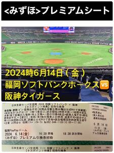 2024/6/14(金)18:30福岡ソフトバンク ホークスvs阪神タイガース交流戦@福岡PayPayドーム