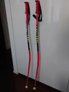 LEKI ジュニア GS ポール 110cm