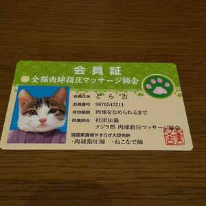 【なめ猫】　なめんなよカードコレクション バラエティ　パロディ　おもしろカード　猫　ネコ　全猫肉球指圧マッサージ師会　会員証